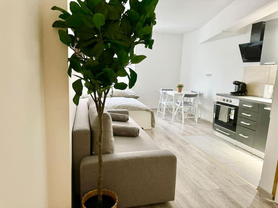 Stylish Schonbrunn Apartments With Free Parking Viena Exterior foto